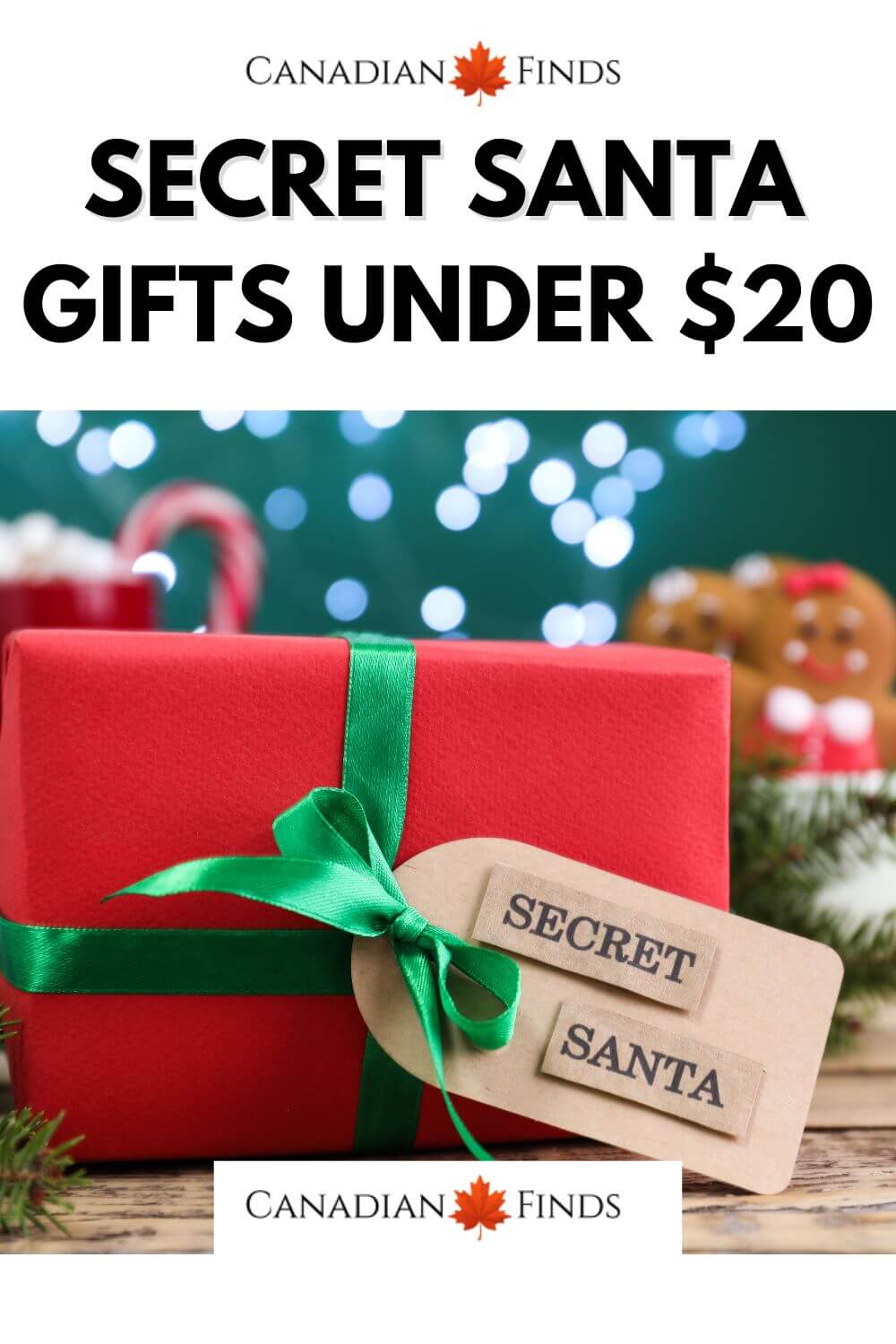 Top Secret Santa Gifts Under $20